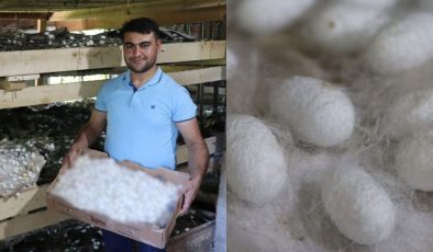 Bir Kutusundan Asgari Ücretin Üzerinde Para Kazanıyorlar!