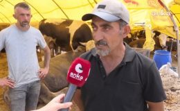 Kurban Pazarında Satıcılar Tepkili: Maliyetler Yüzde 100 Arttı! Böyle Giderse…