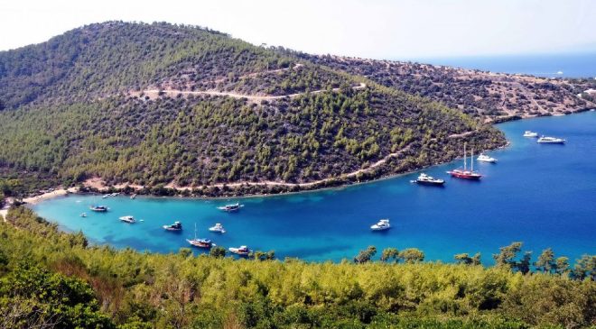 Bu kez zam değil yüzde 50 indirim geldi! Vatandaşlar sevinçten havalara uçtu!