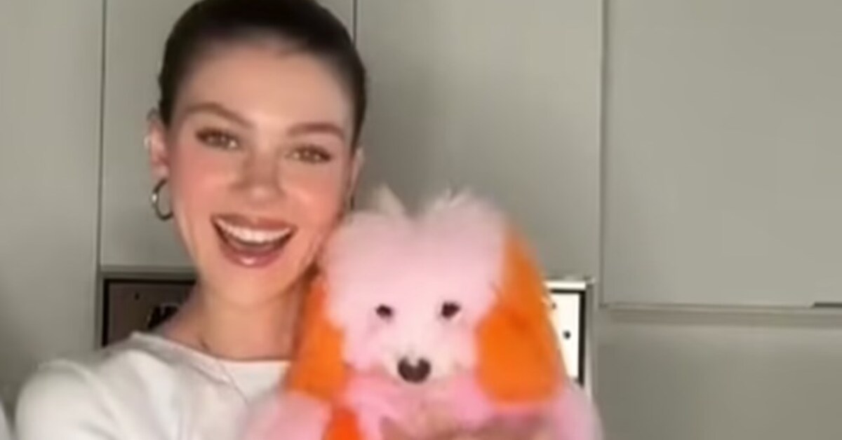 Brooklyn Beckham ve Nicole Peltz çiftine köpek boyatma tepkisi
