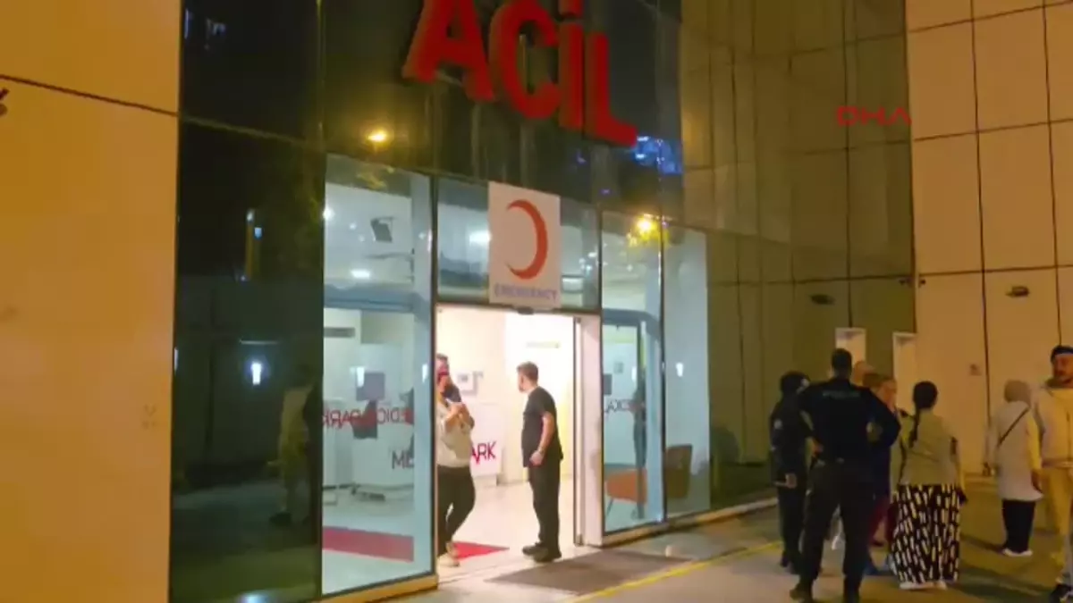 Sanatçı Metin Arolat Hayatını Kaybetti