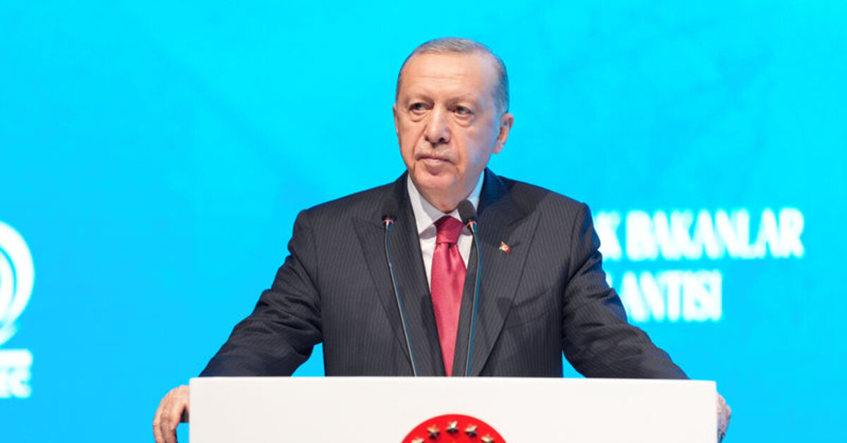 Cumhurbaşkanı Recep Tayyip Erdoğan’dan Zeynep Sönmez’e tebrik
